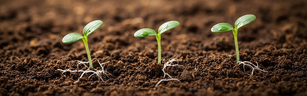 Accede a una biblioteca completa de herramientas digitales y materiales que potenciarán la expansión y el alcance de tu ministerio de manera efectiva.